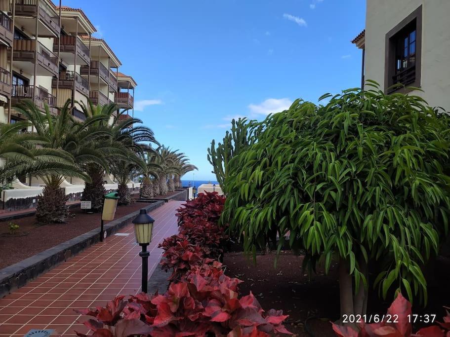 Amazing Seaview Balcon Del Mar Glass Veranda Коста-дель-Силенцио Экстерьер фото